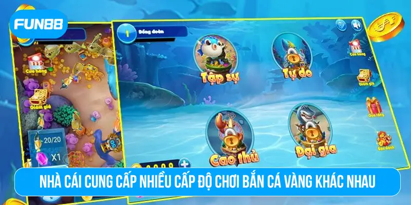 Nhà cái cung cấp nhiều cấp độ chơi bắn cá vàng khác nhau