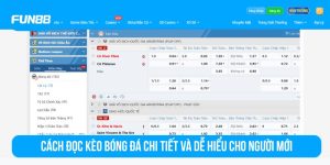 Cách đọc kèo bóng đá