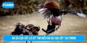 đá gà cựa sắt là gì