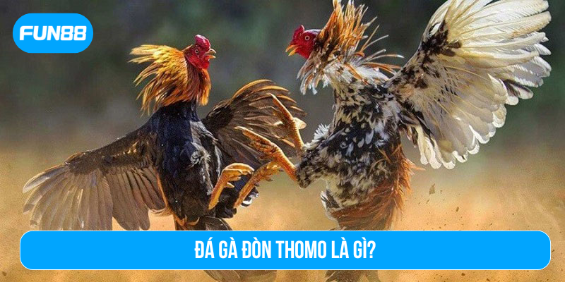 Đá gà đòn Thomo là gì?