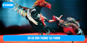 Đá gà đòn Thomo tại Fun88
