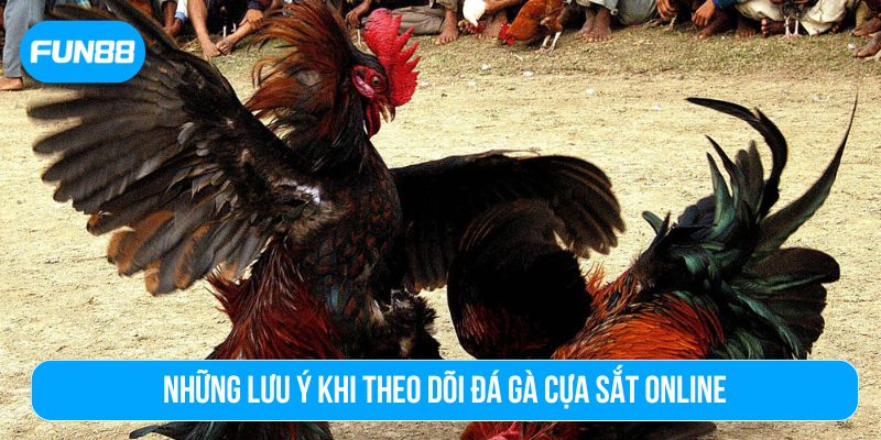 Hiểu đá gà cựa sắt là gì để đưa ra quyết định hợp lý