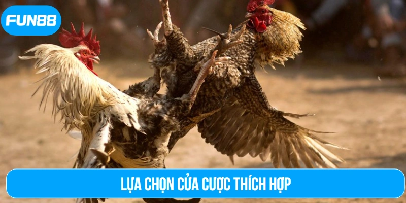 Lựa chọn cửa cược thích hợp