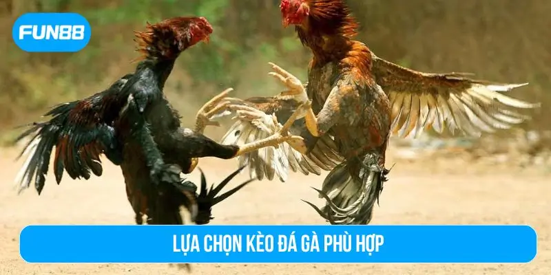 Lựa chọn kèo đá gà thích hợp