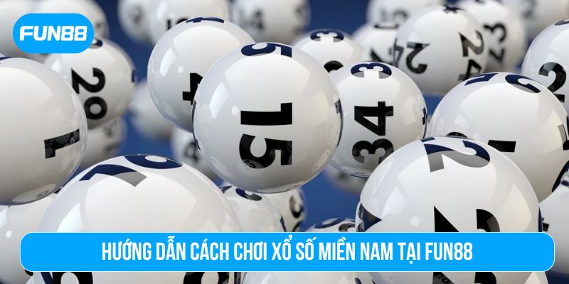 Lựa chọn một nhà đài yêu thích của bạn
