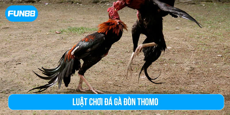 Luật chơi đá gà đòn Thomo
