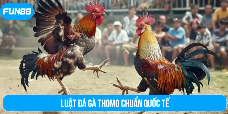 Luật đá gà Thomo chuẩn quốc tế