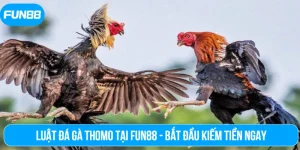 Luật đá gà Thomo tại Fun88